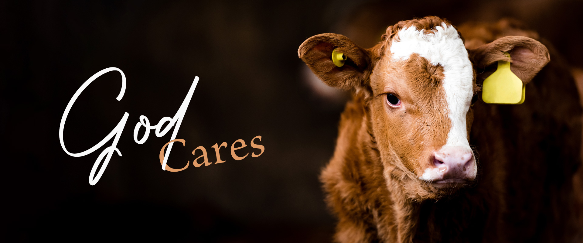 God Cares